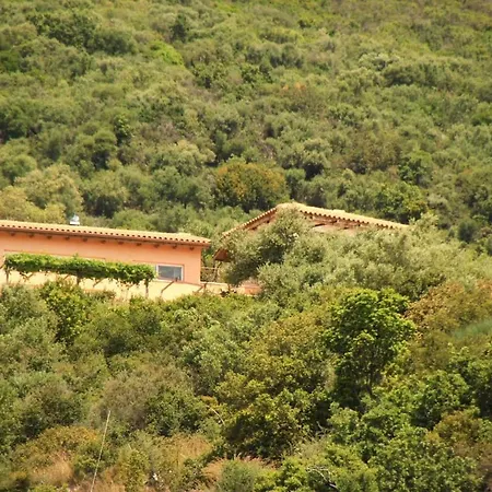 فيلة Katsika *